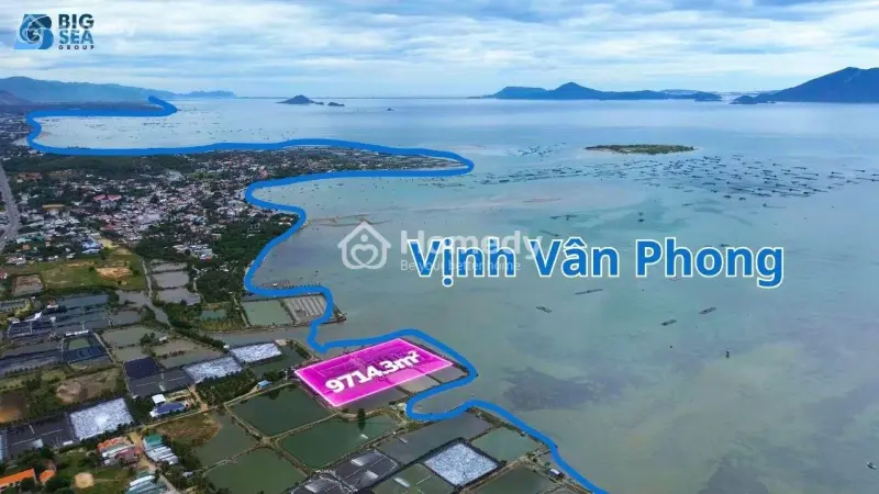 6018043 ảnh đại diện 1
