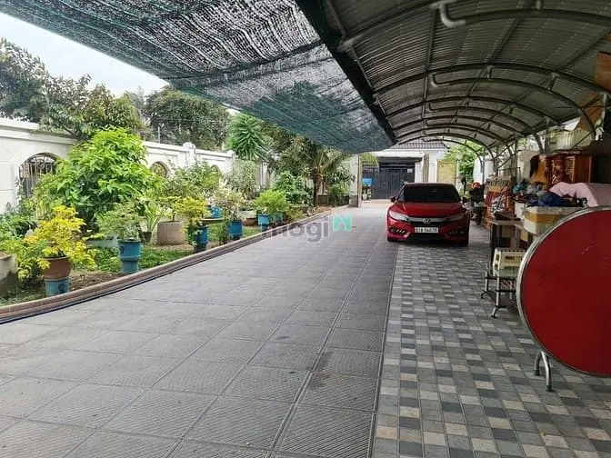 6018659 ảnh đại diện 1