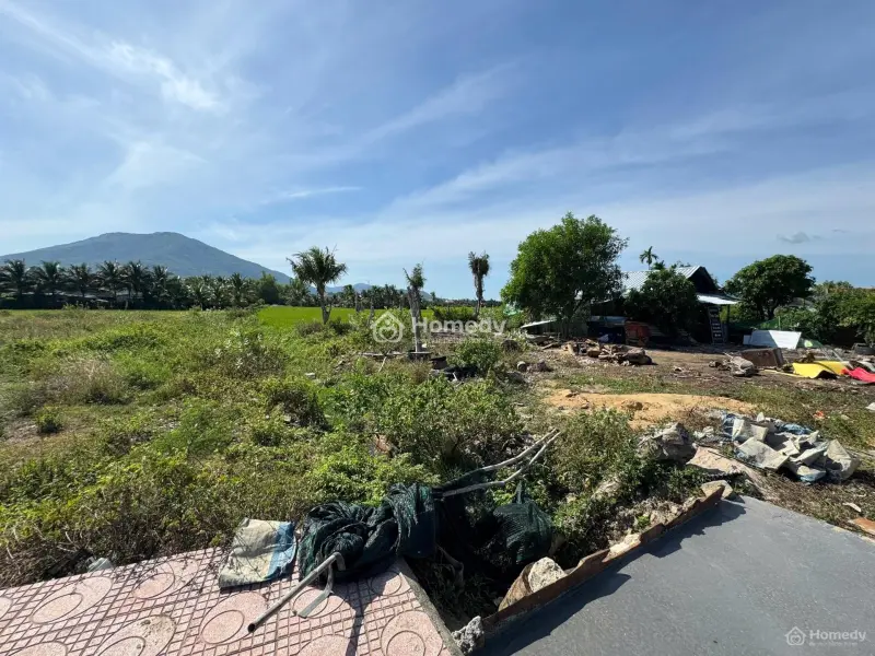 6018481 ảnh đại diện 1