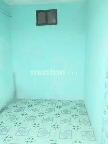 6018184 ảnh đại diện 1