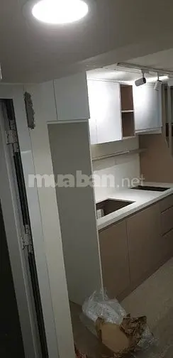 6018404 ảnh đại diện 1