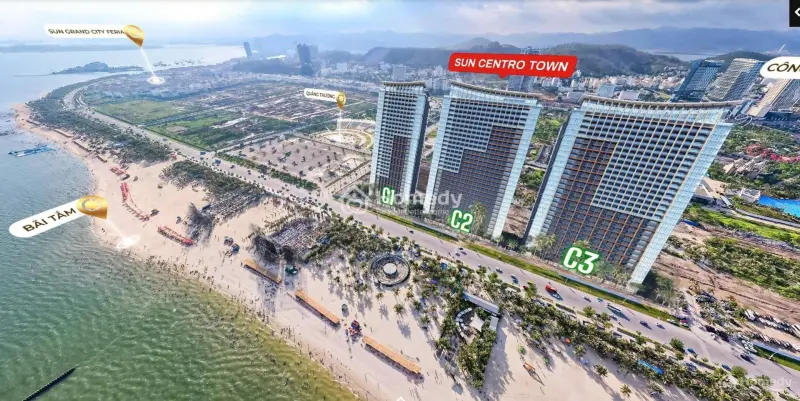 6018512 ảnh đại diện 1