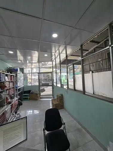 6018582 ảnh đại diện 1