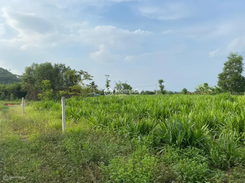 6018372 ảnh đại diện 1