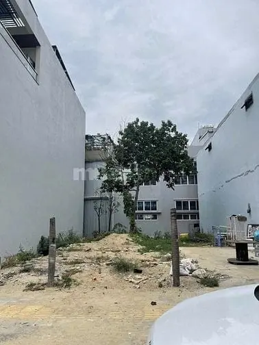 6018354 ảnh đại diện 1