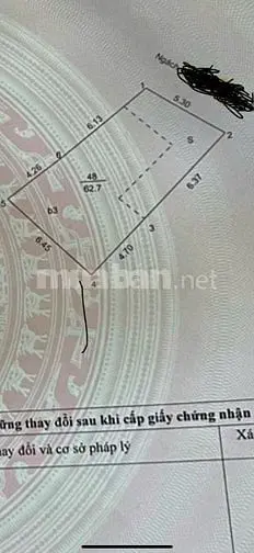 6019124 ảnh đại diện 1