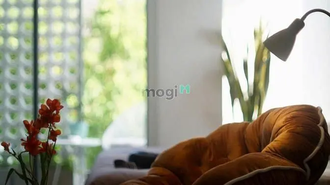 🌿 Căn Hộ Studio - Nội Thất Tone Gỗ Cao Cấp - Giá Tốt