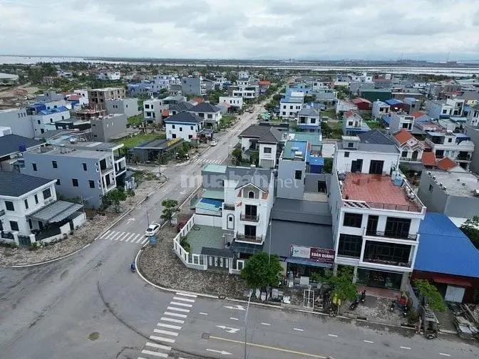 6018788 ảnh đại diện 1