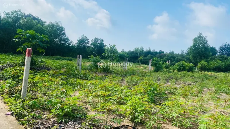 Bán 19M X 50M Đất Hẻm Quốc Lộ 55 - Sơn Mỹ - Hàm Tân Giảm 40% Chỉ 78Tr/M Ngang