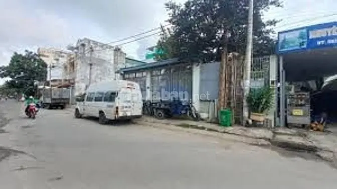 6018837 ảnh đại diện 1