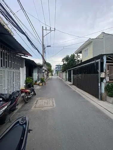 6018842 ảnh đại diện 1