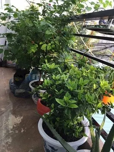 6018954 ảnh đại diện 1