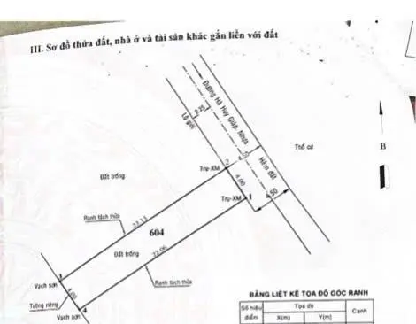 6018966 ảnh đại diện 1