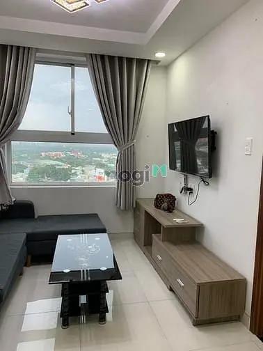 6019177 ảnh đại diện 1