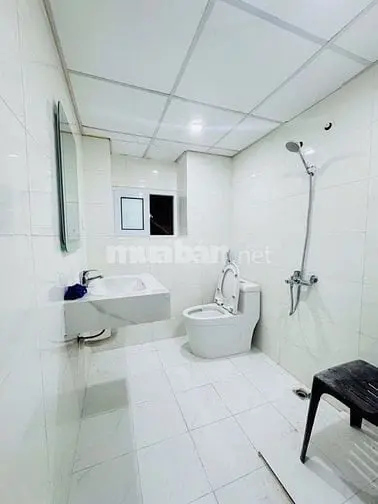 6018806 ảnh đại diện 1