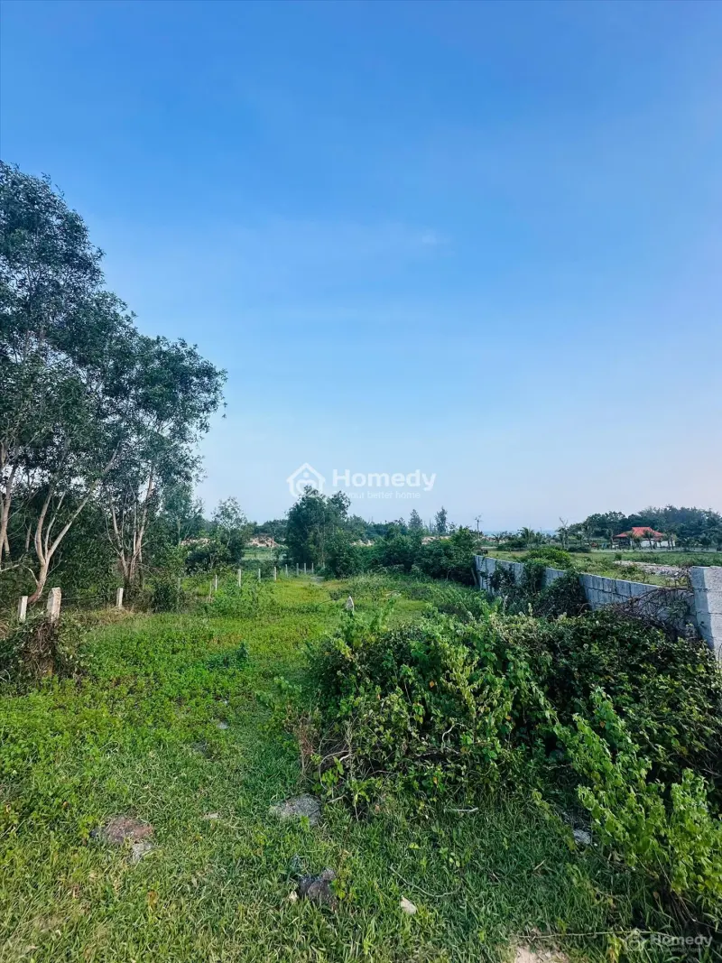 Bán 1246M2 Đất Mặt Tiền Lê Minh Công, Lagi Gần Biển Cam Bình Giá Ngộp 4.8Tr/M2
