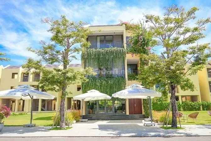 6018968 ảnh đại diện 1