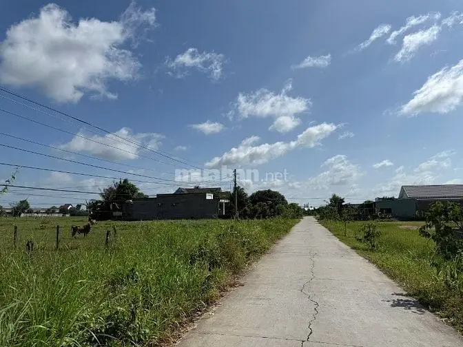 6018977 ảnh đại diện 1