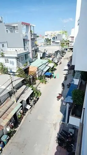 6018955 ảnh đại diện 1