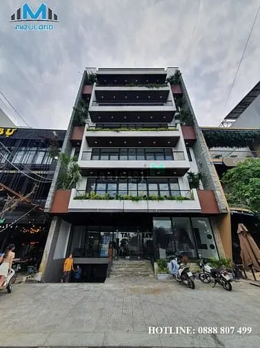6018804 ảnh đại diện 1