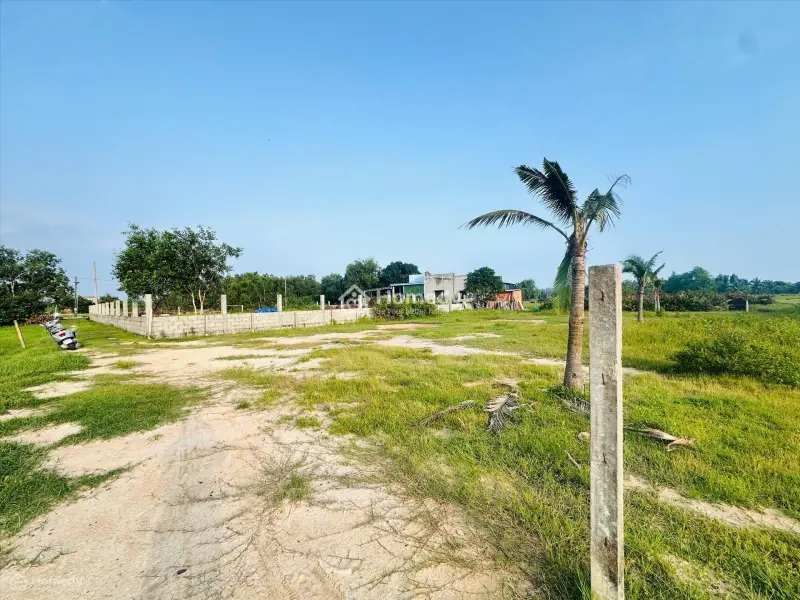6018941 ảnh đại diện 1