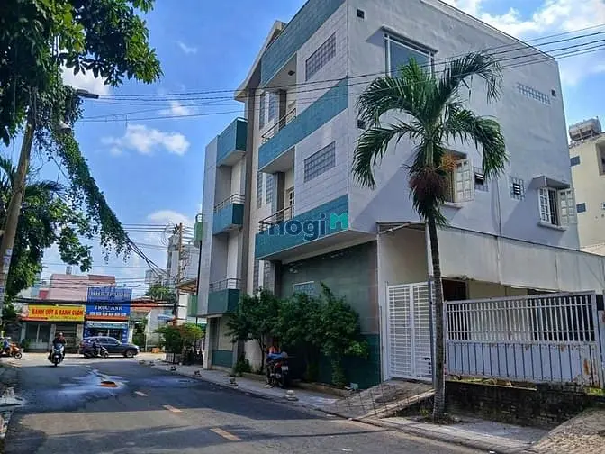6018981 ảnh đại diện 1