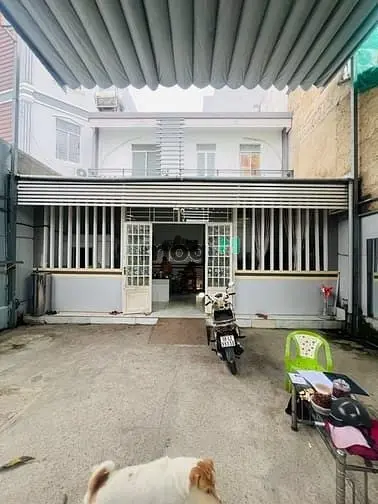 6019192 ảnh đại diện 1