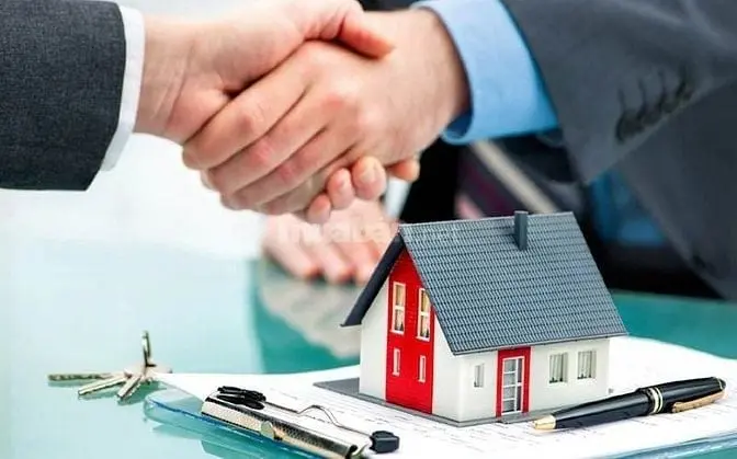 6019140 ảnh đại diện 1