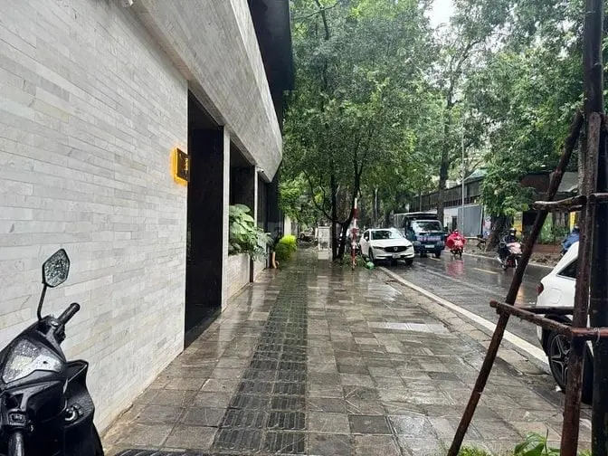 6019029 ảnh đại diện 1