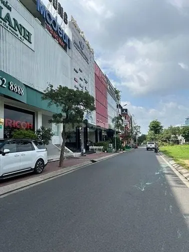 6019099 ảnh đại diện 1