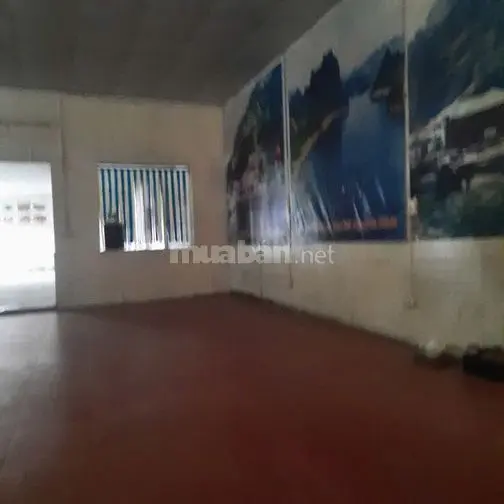 Cho Thuê Cửa Hàng, Kho, Xưởng Sản Xuất Tại Lạc Long Quân