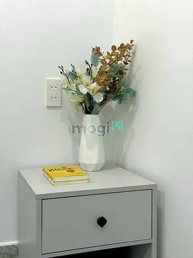 Studio Full Nội Thất An Ninh Ngay Trung Tâm Phú Nhuận Giá Chỉ 4Tr5