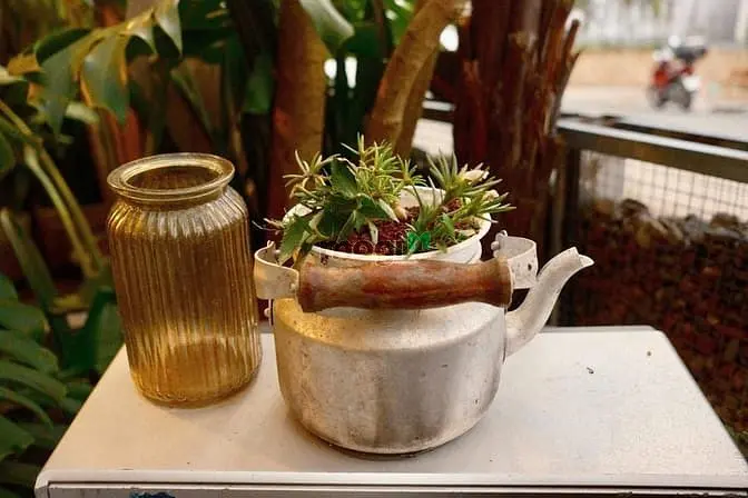 Cho Thue Nhà Vườn - Biệt Thự Nguyên Căn