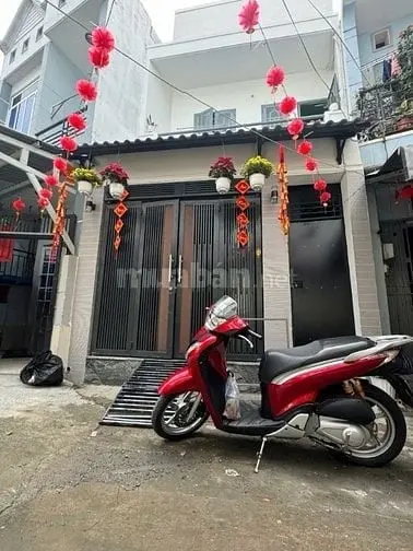 6019102 ảnh đại diện 1