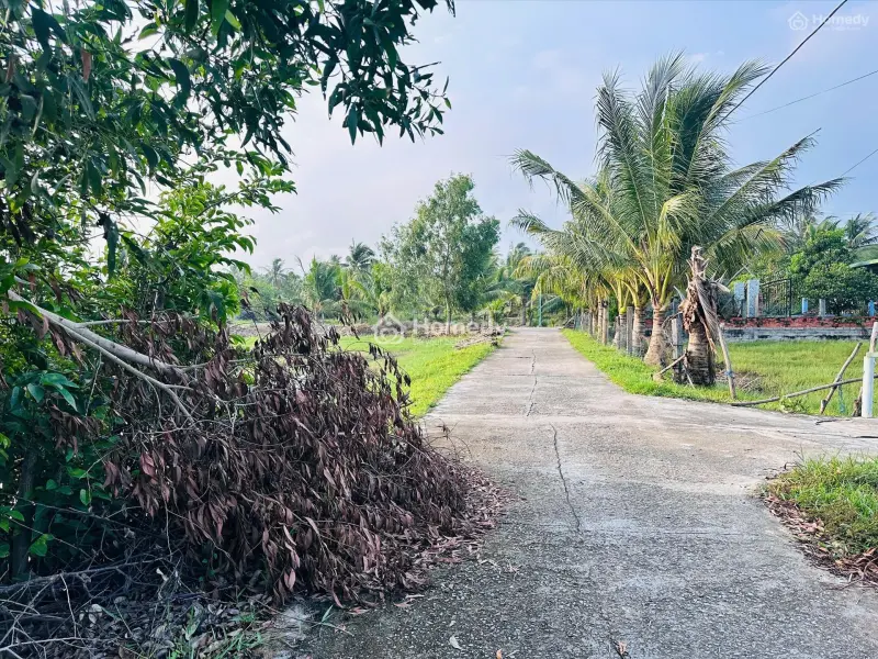 Bán 28M X 34M Đất Odt Tân Phước - Lagi Giá Rẻ 178Tr/M Ngang Kế Bên 577