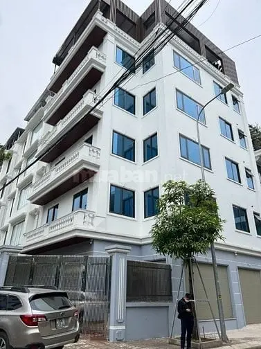 6018913 ảnh đại diện 1