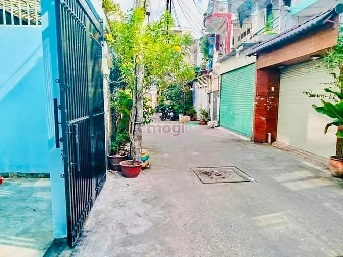 6018764 ảnh đại diện 1
