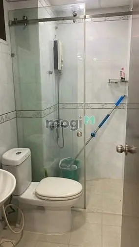 6019174 ảnh đại diện 1