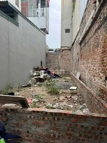 6018836 ảnh đại diện 1