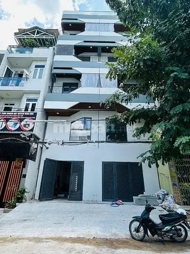6019100 ảnh đại diện 1