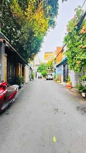 6018738 ảnh đại diện 1