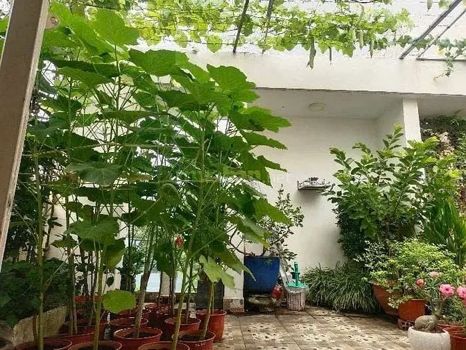 Nhà Mới Trường Thọ - 54M2-Đường Xe Tải-Nội Thất Cao Cấp-Giá 7.9Tỷ