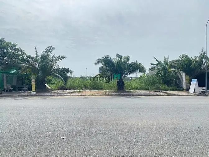 6018815 ảnh đại diện 1