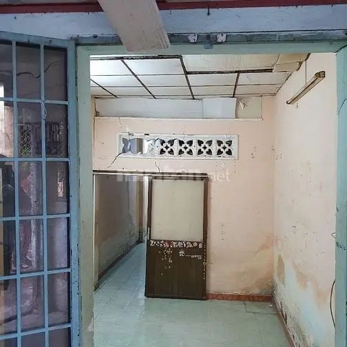 6018971 ảnh đại diện 1
