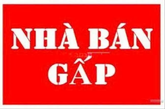 6018881 ảnh đại diện 1