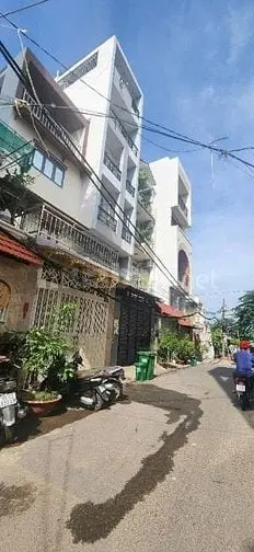 6018893 ảnh đại diện 1