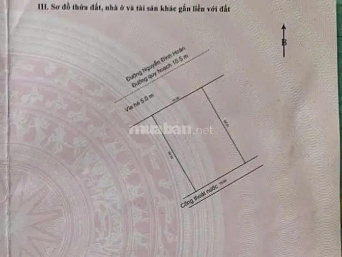 6018855 ảnh đại diện 1