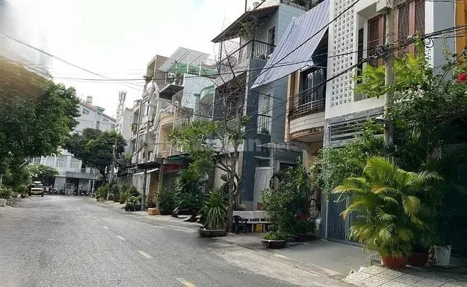6019083 ảnh đại diện 1