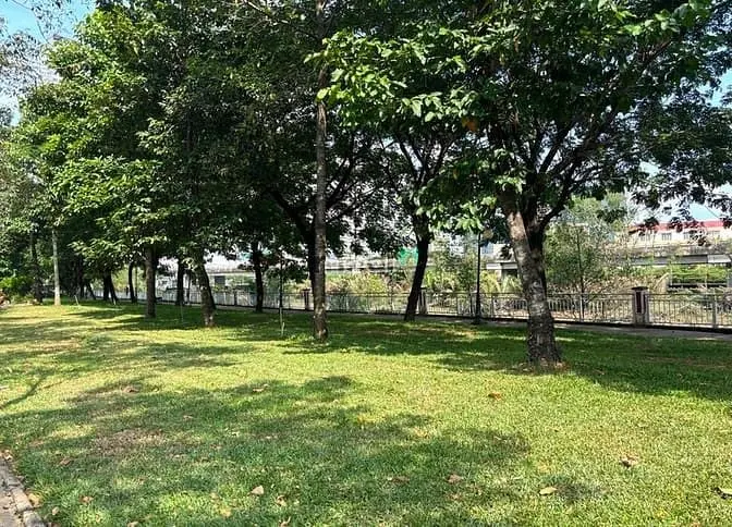 6019064 ảnh đại diện 1