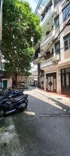 6019034 ảnh đại diện 1